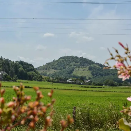 Holiday home La Cour Pavee Sebrazac