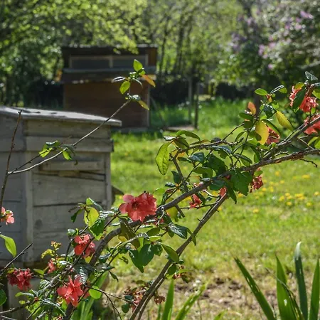 La Cour Pavee Holiday home Sebrazac