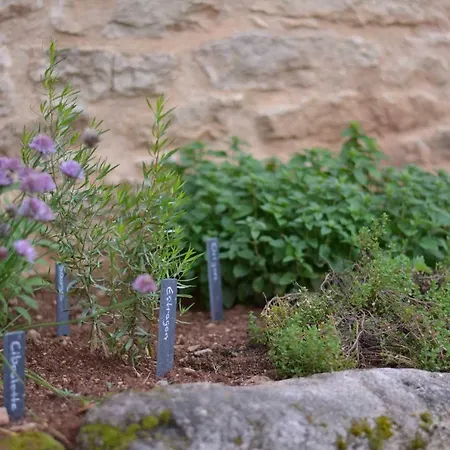 La Cour Pavee Holiday home