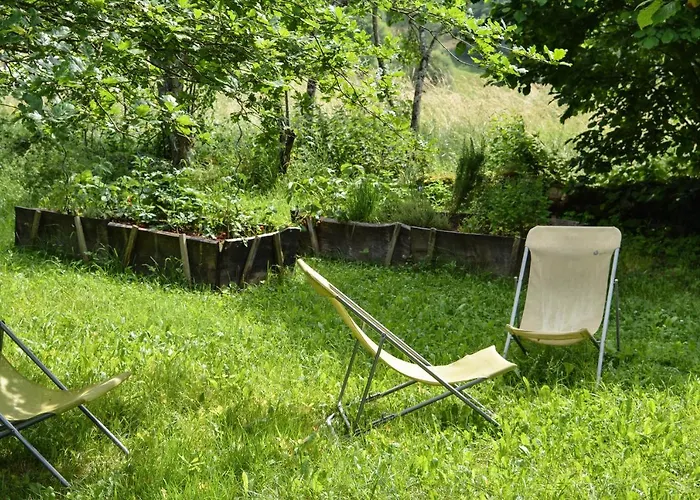 La Cour Pavee * Sebrazac