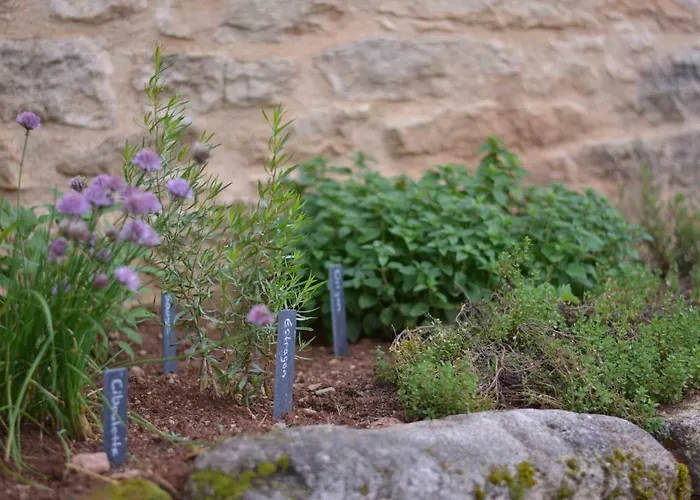 La Cour Pavee Feriehus